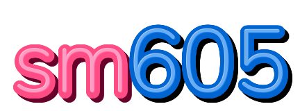 sm605 — logo kanal
